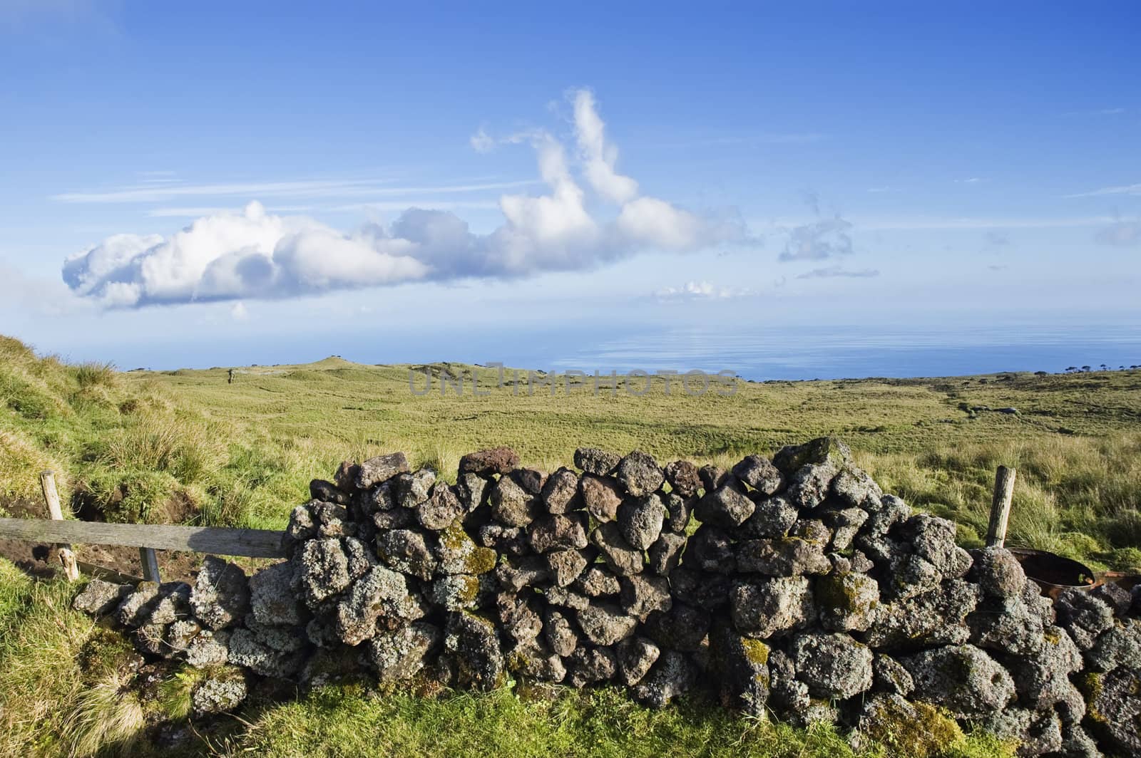 Idyllic green pasture landscape of Pico island, Azores, Portugal
