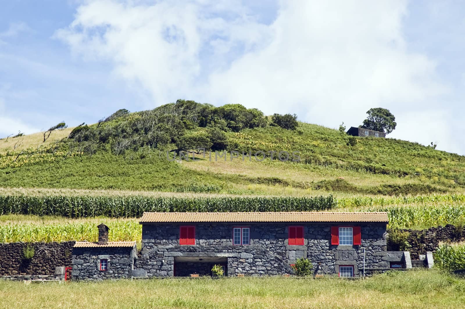 Beautiful farmhouse in a green landscape of Pico island, Azores, Portugal
