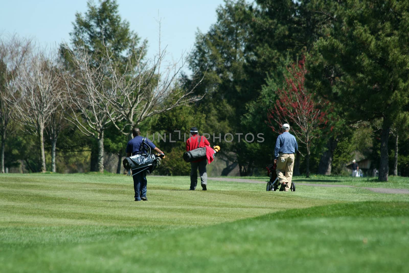 Three golfers walking down the fairway