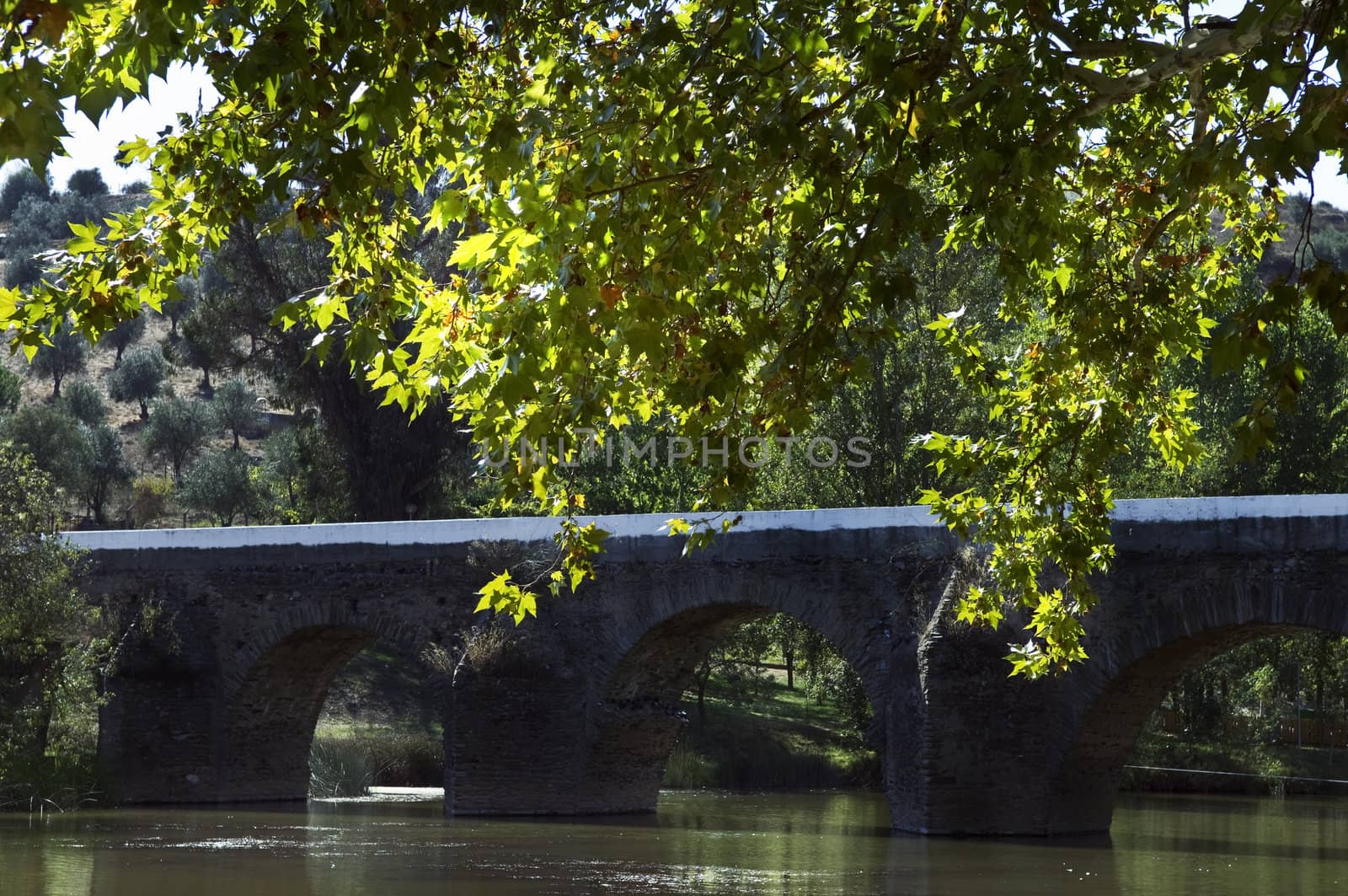 Old stone bridge in a peaceful park
