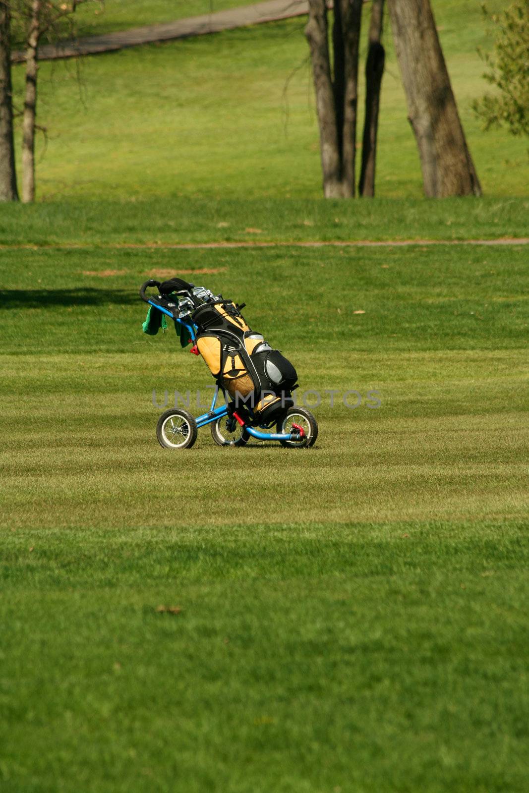 A Golf bag on the fairway of a course