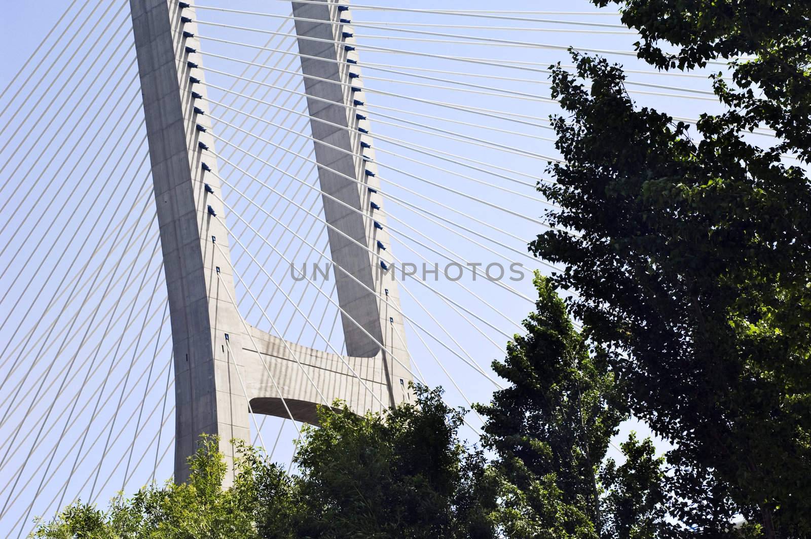 Suspension bridge by mrfotos