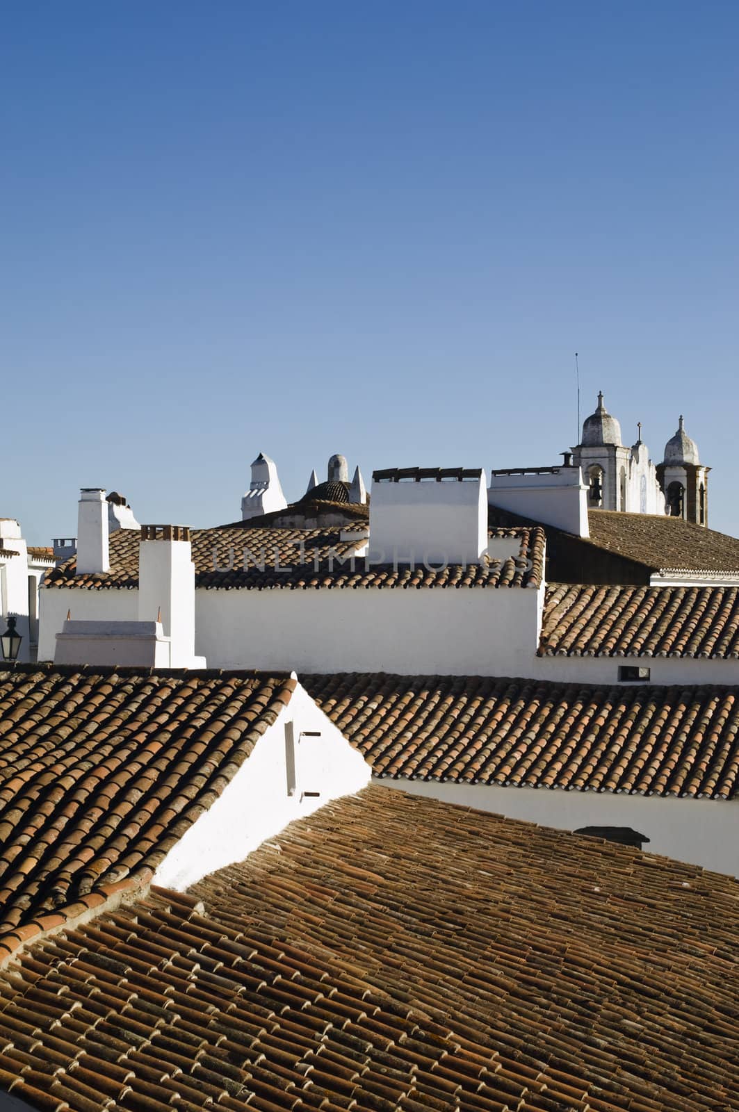 Detail of the traditional roofs of the village of Monsaraz, Alentejo, Portugal