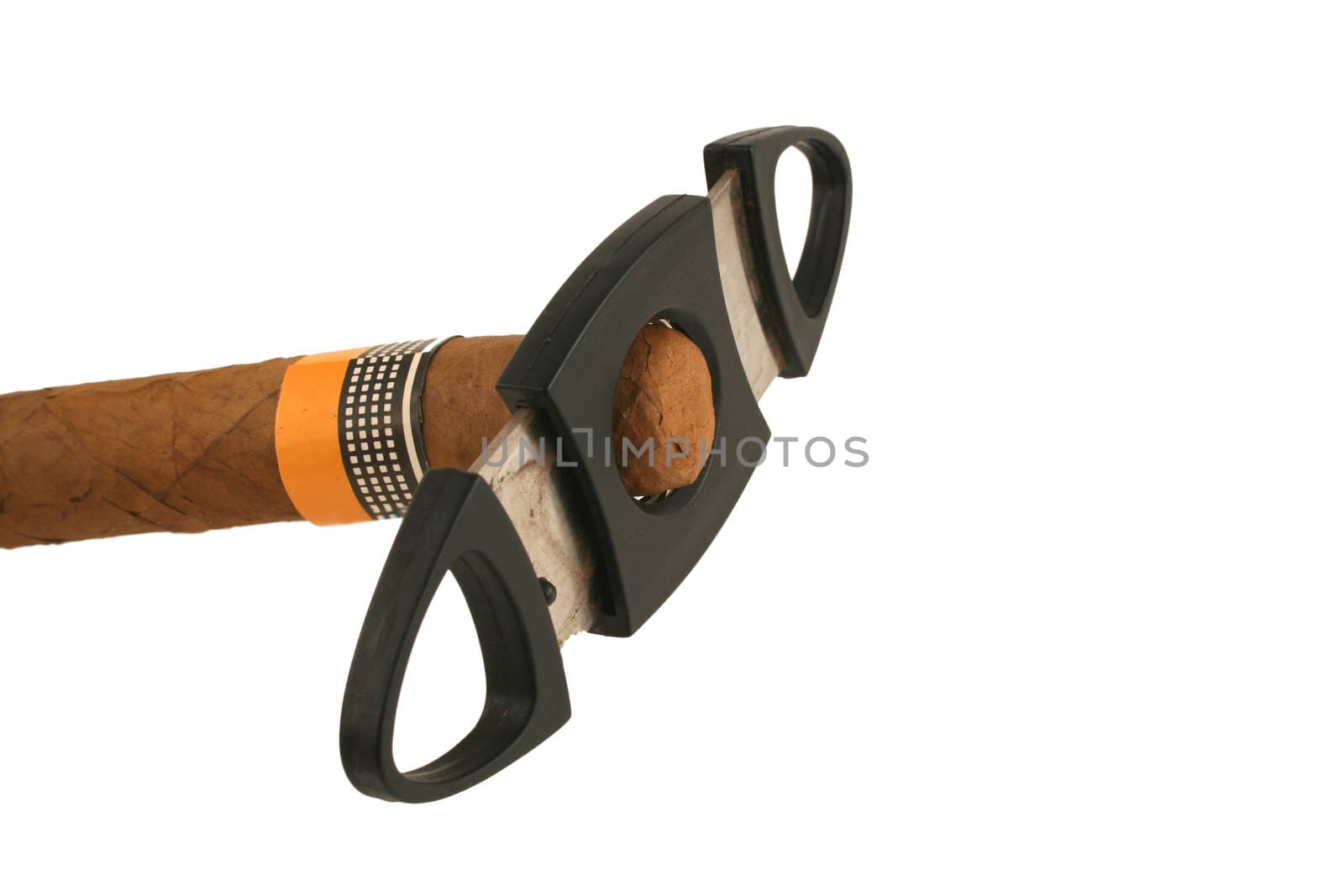 A Isolated cigar with cutter on white