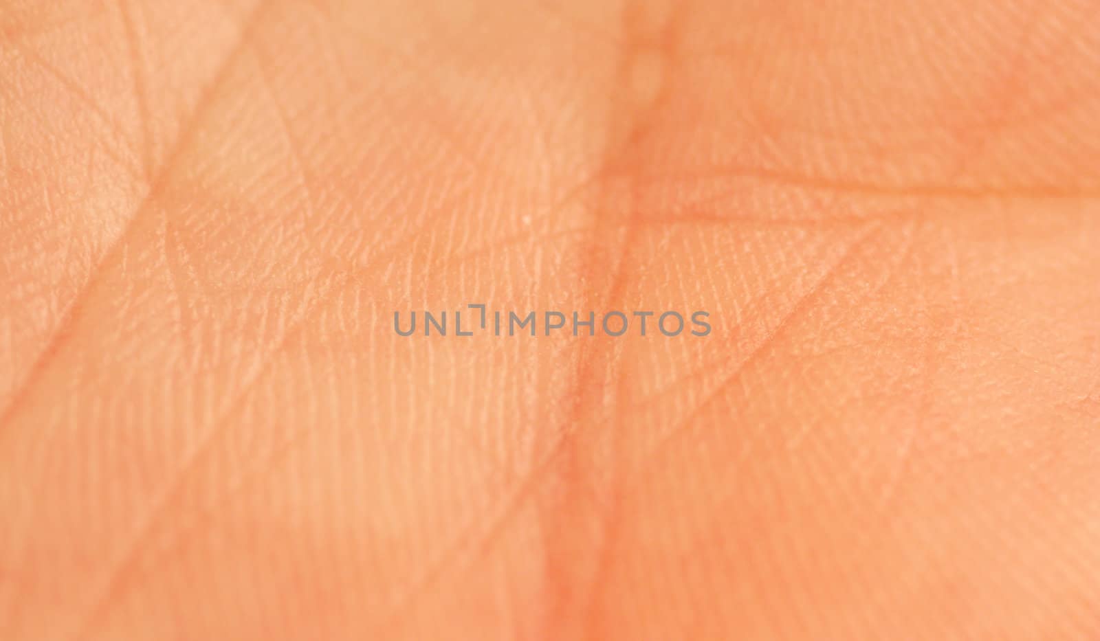 A Human palm macro with lines