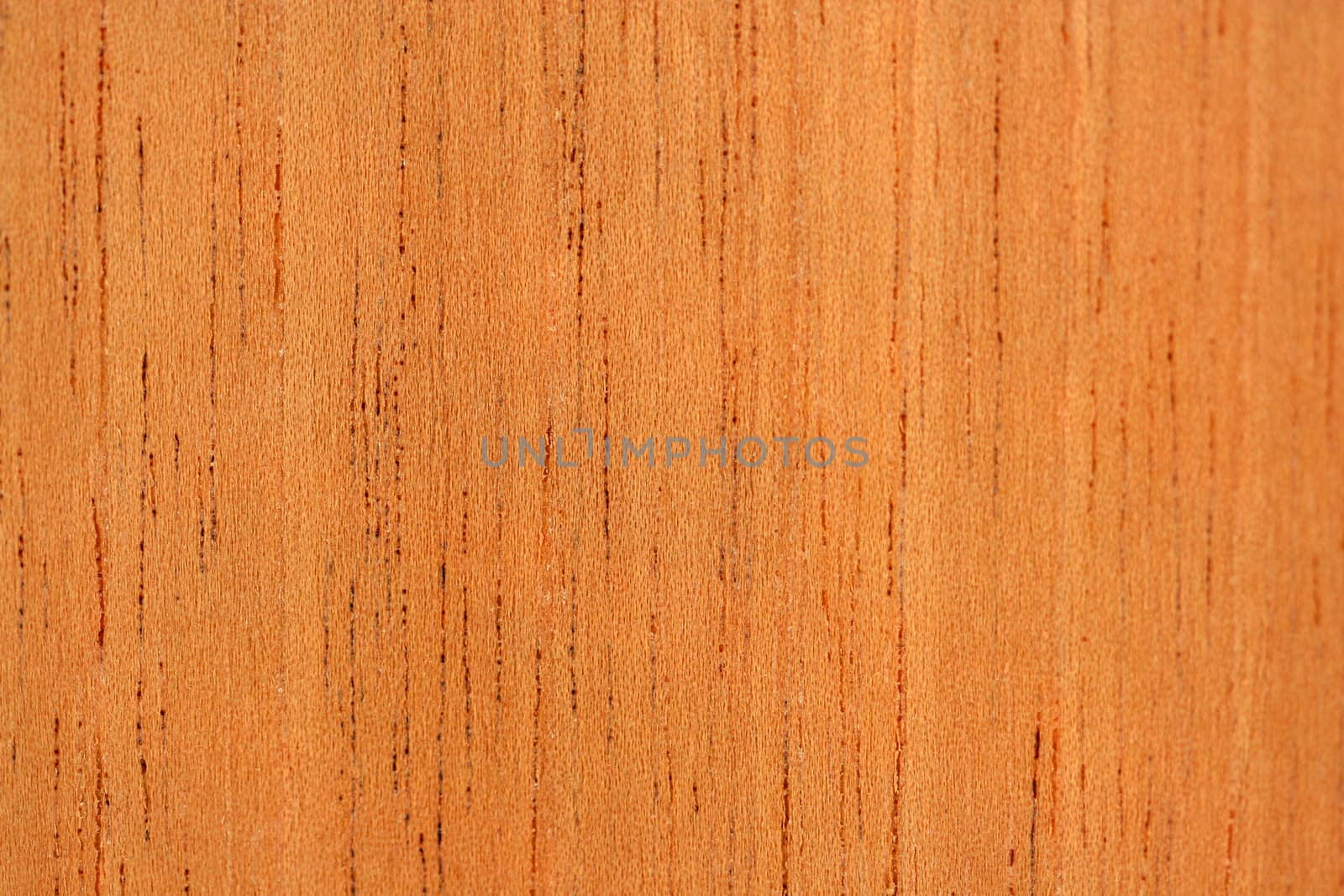 A Cedar macro texture abstract background