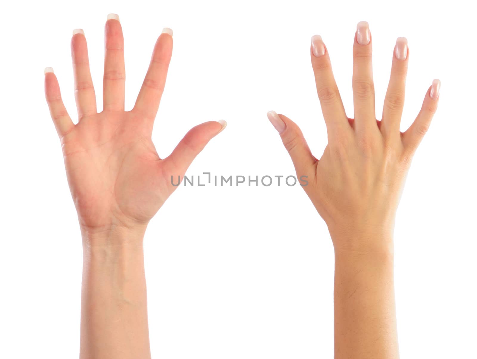 Female hands counting number 5