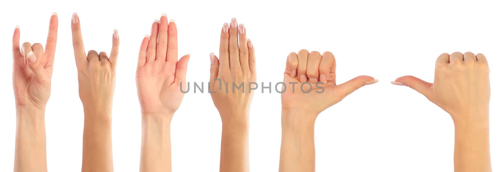 Female hands counting by dyoma