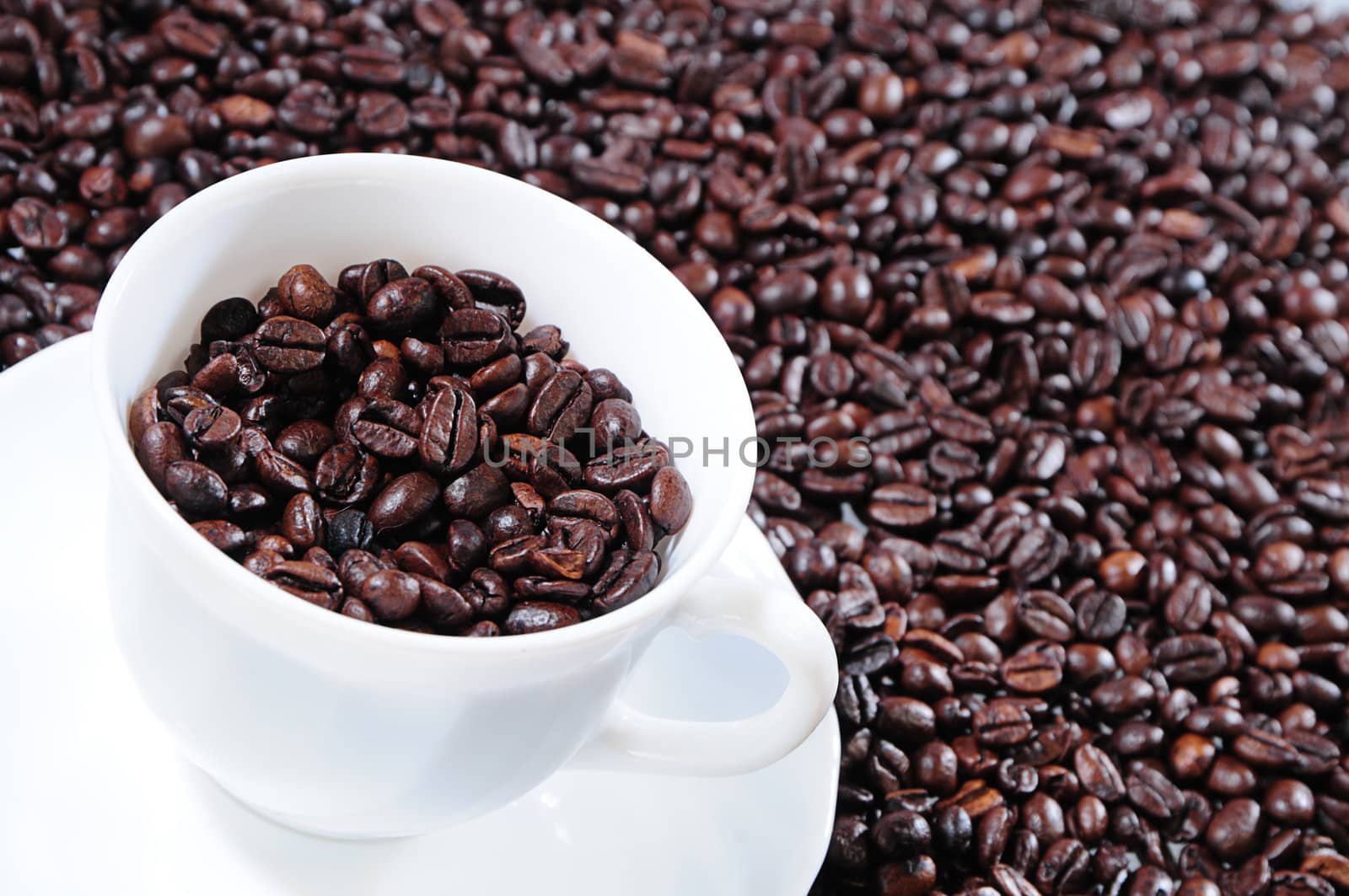 coffee grains in a white cup on a background coffee grains