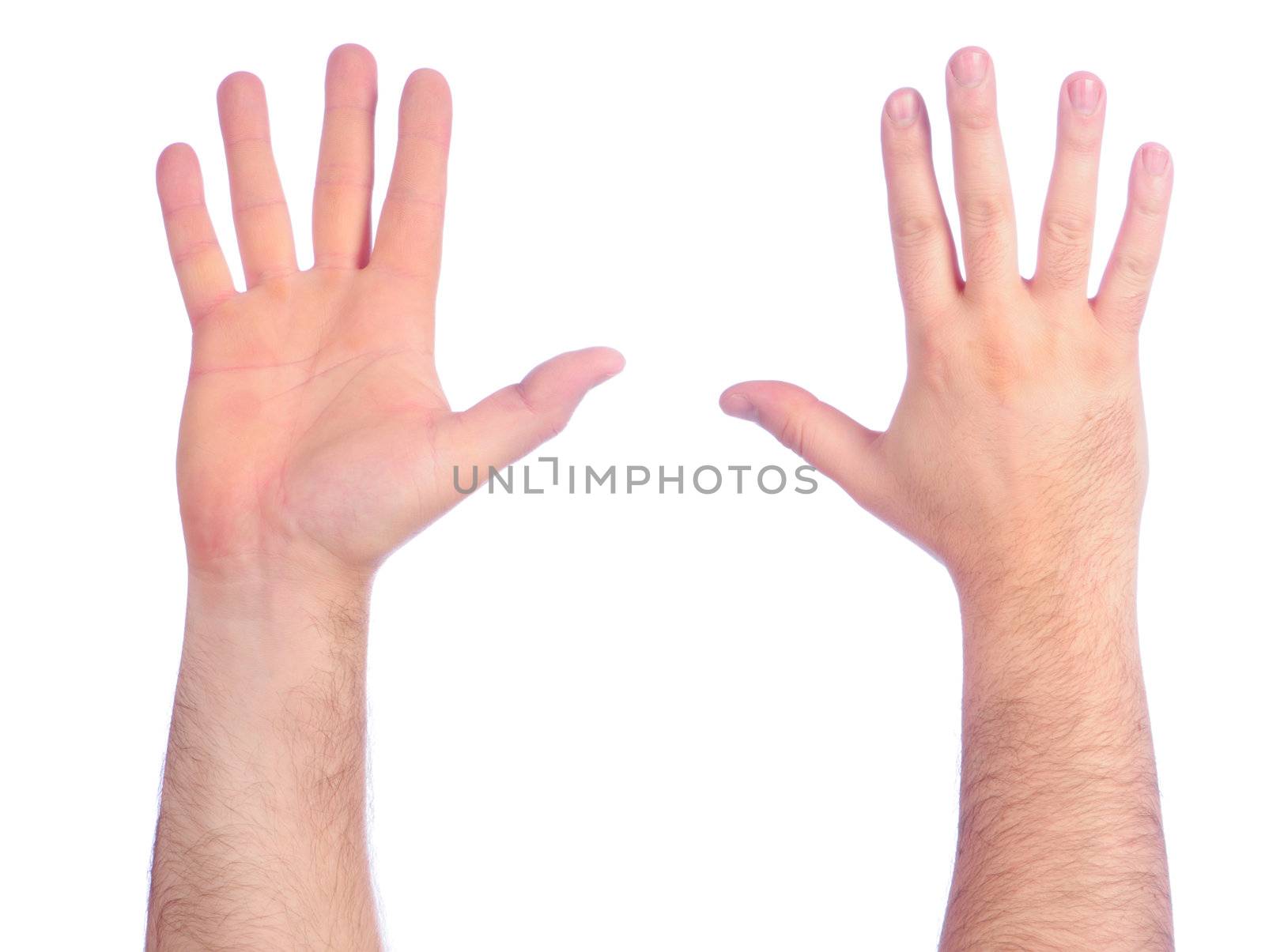 Male hands counting number 5