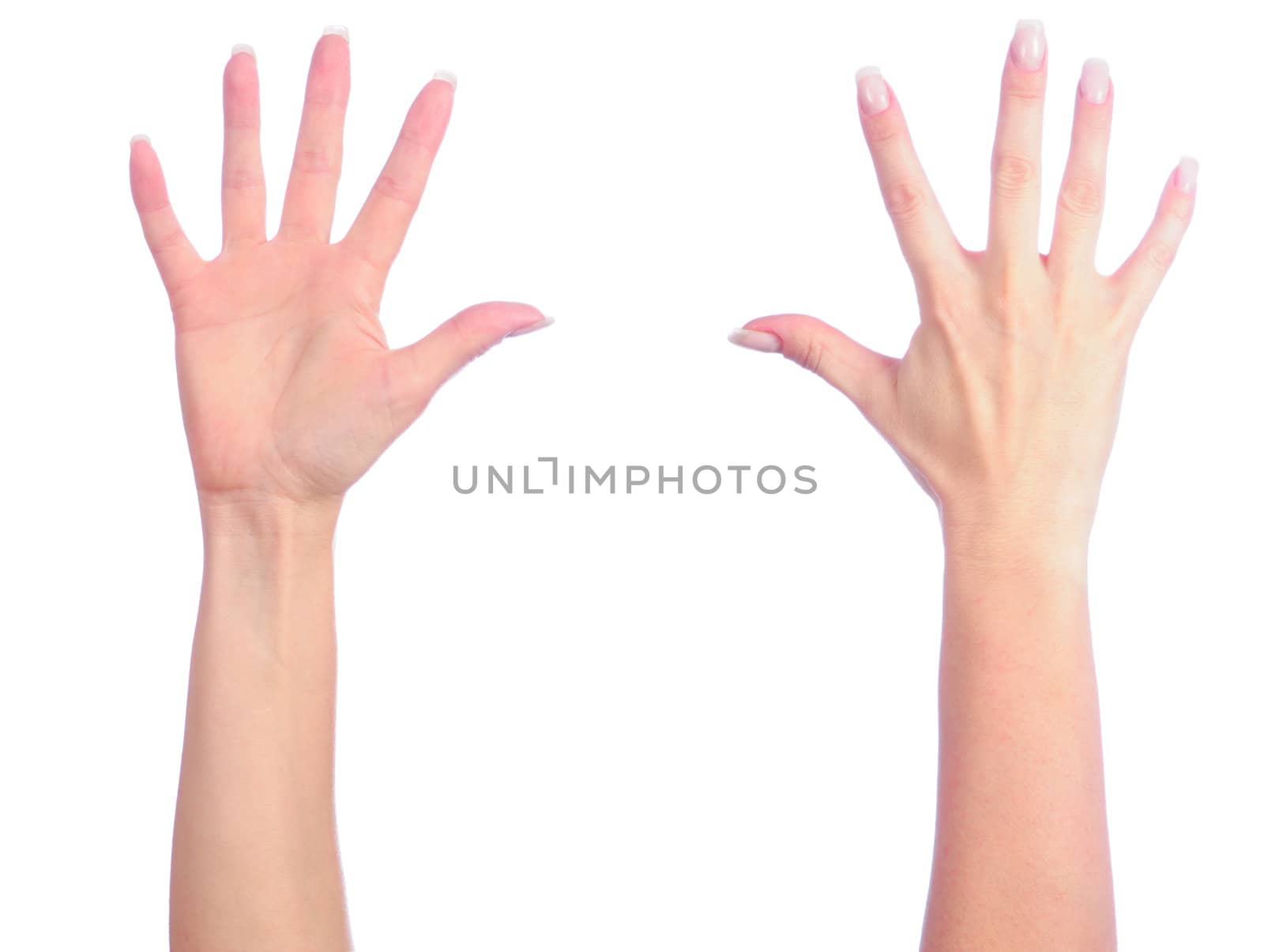 Female hands counting number 5