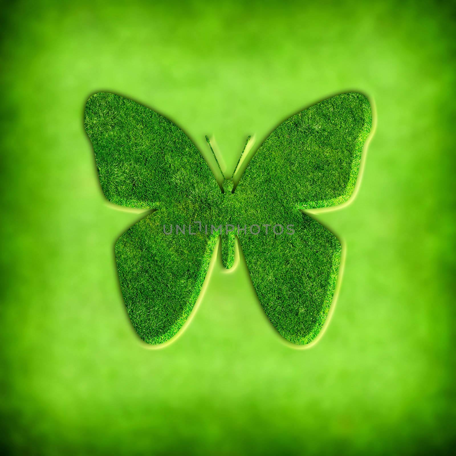 spring background with butterfly illustration - square format