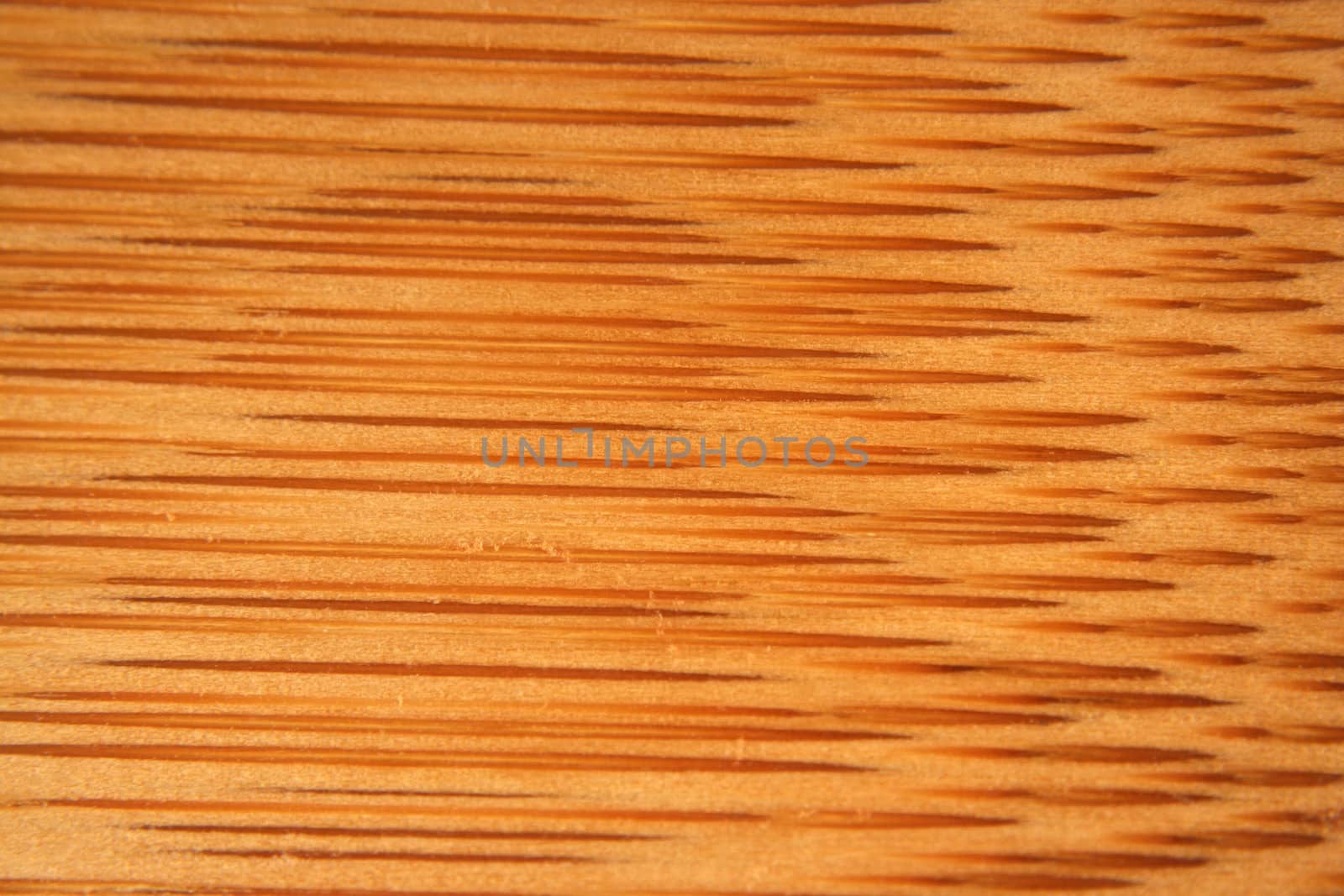 Bamboo Background Texture