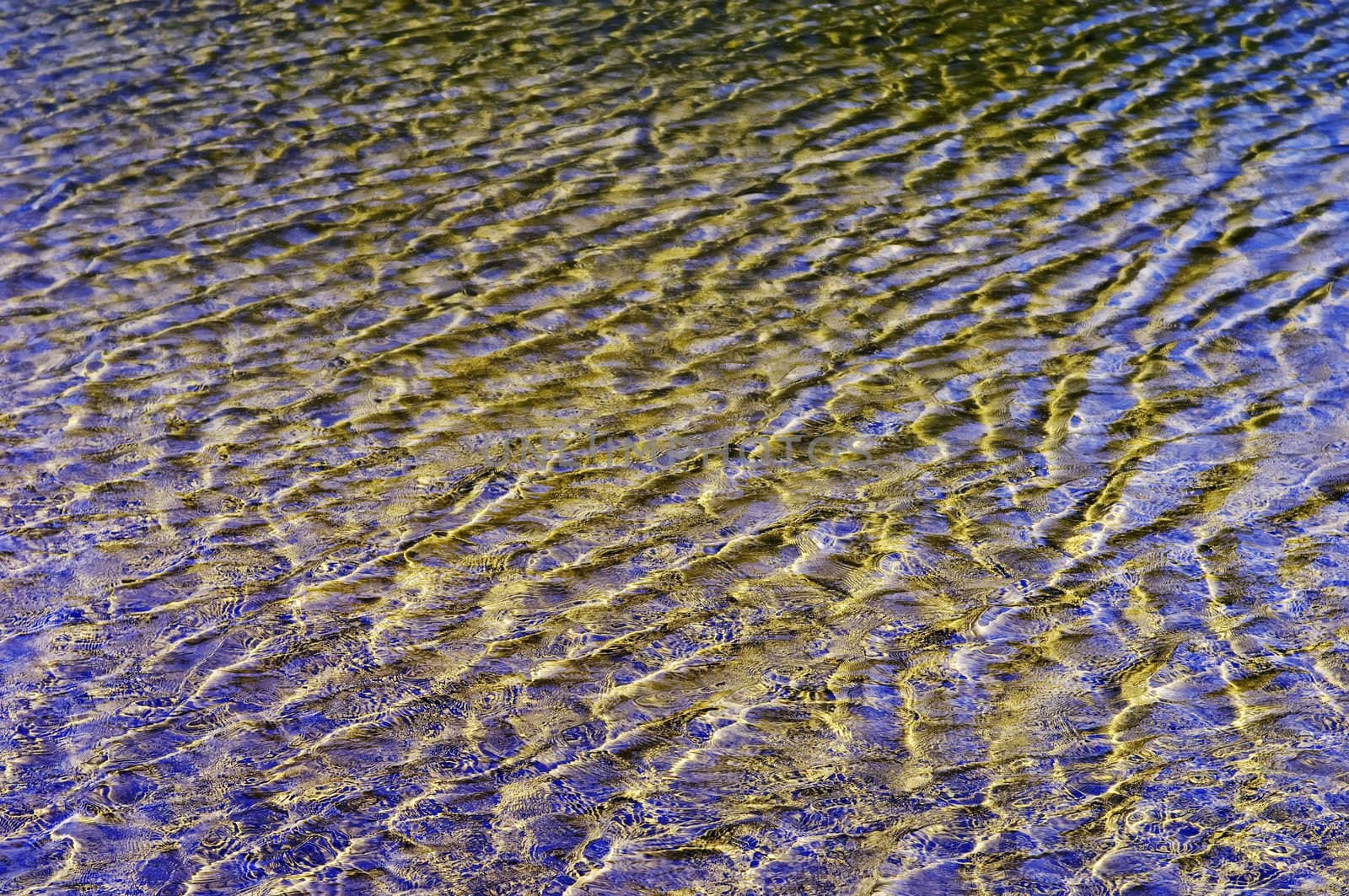 Abstract false colour water rippled background
