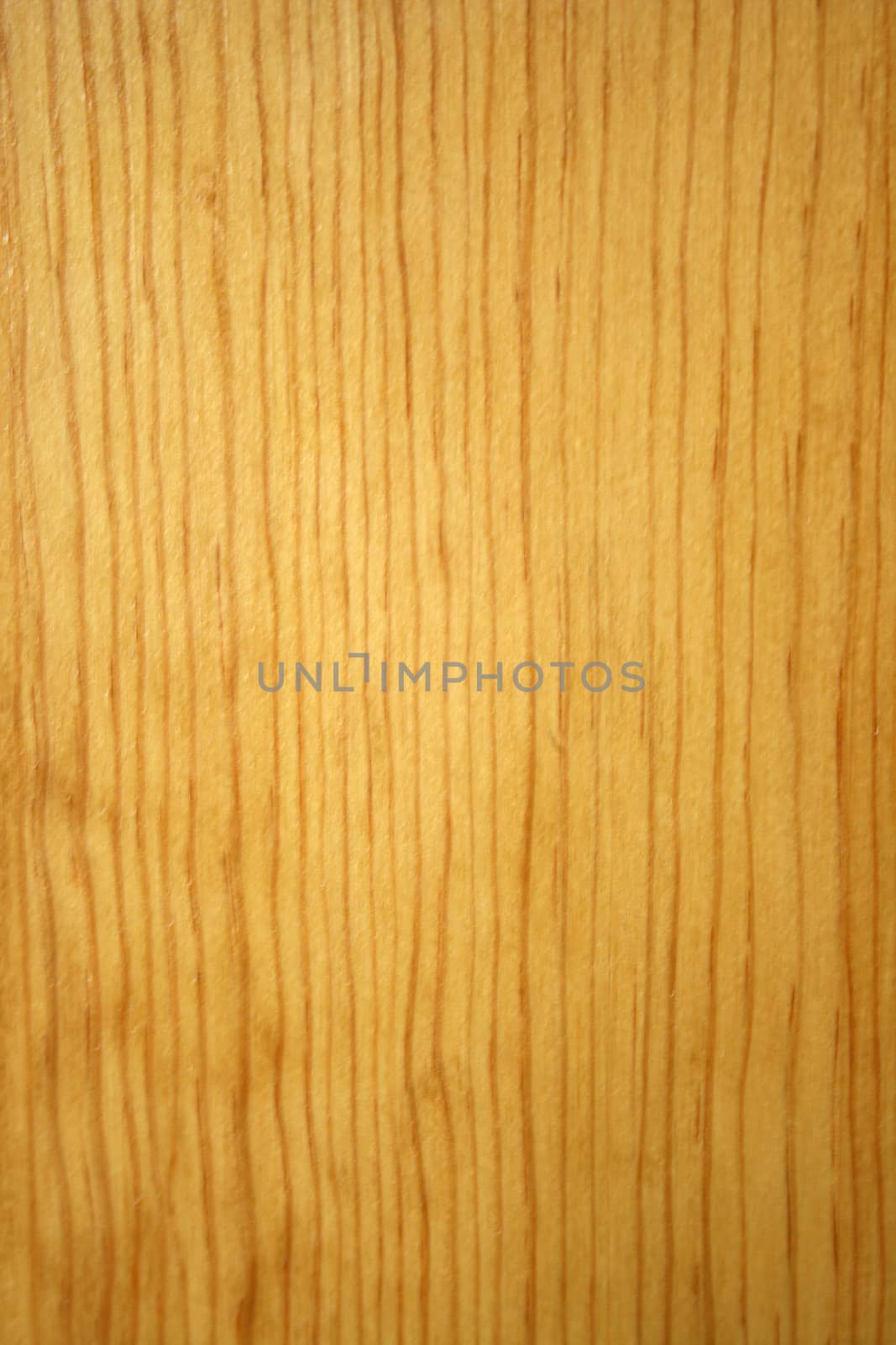 A Wood Grain Oak abstract Background image