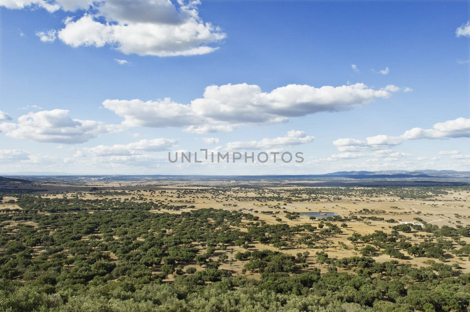 Endless plain fields of Alentejo province, Portugal
