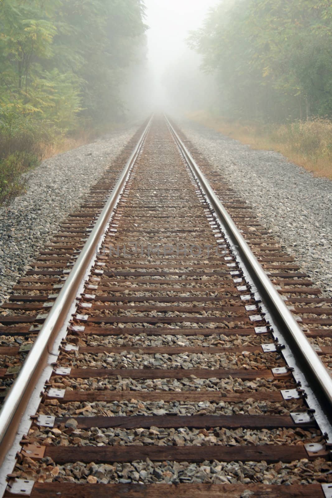 Foggy Railroad Tracks by njnightsky
