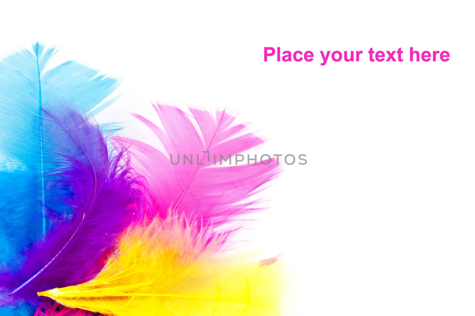 colorfull feathers with copy-space by ladyminnie