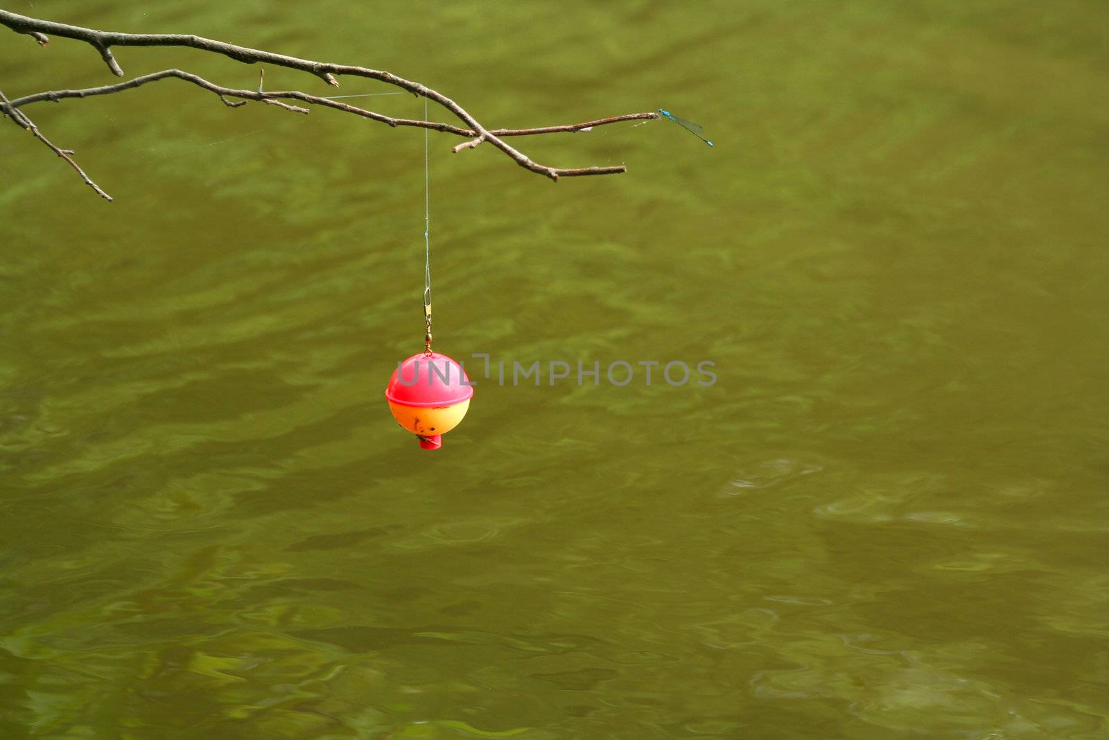 an image of a  Hanging Fishing Bobber with dragonfly