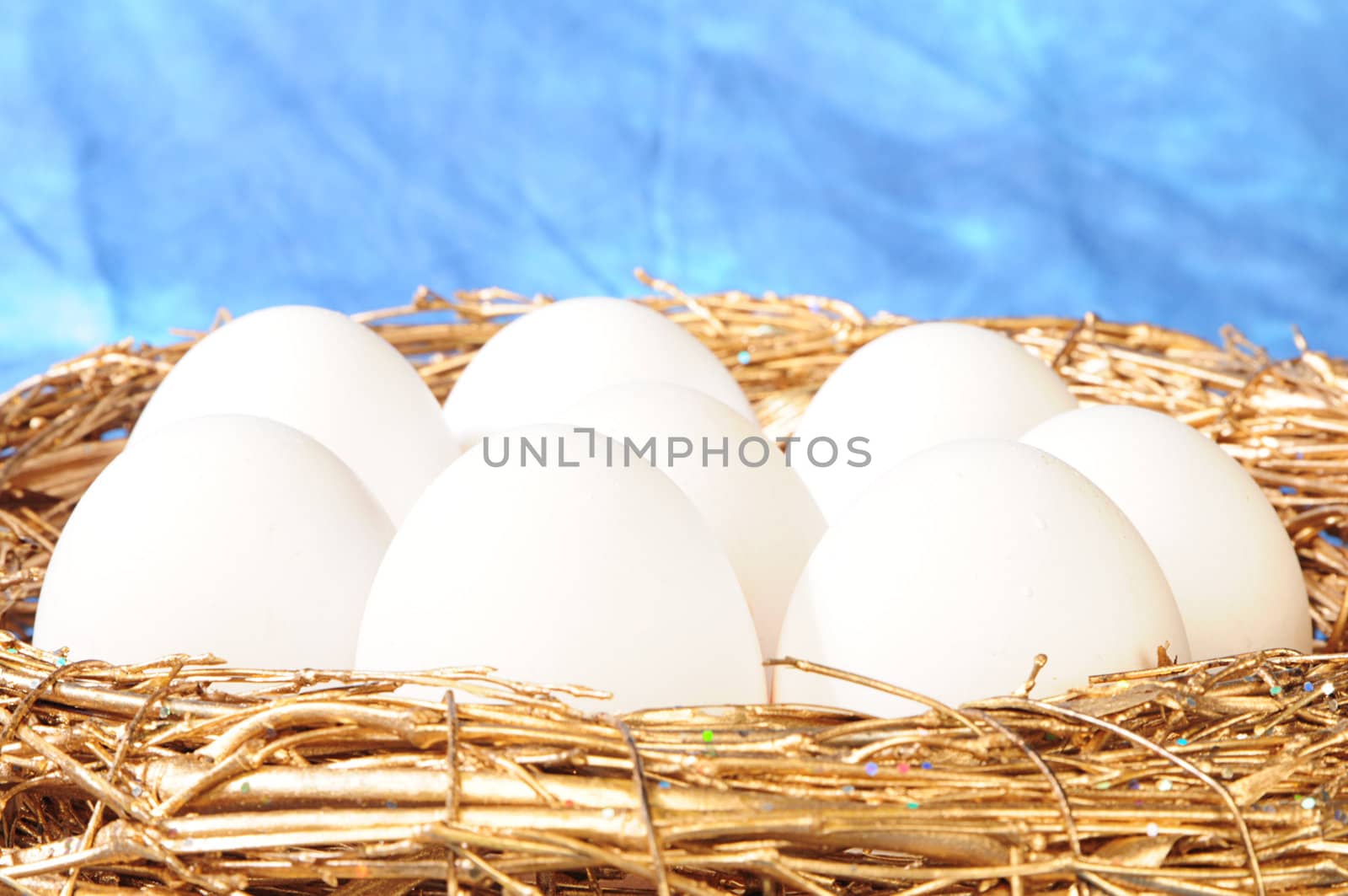 white eggs in golden nest by dyoma