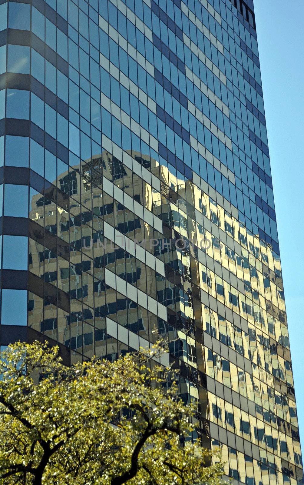 Austin Building Reflection