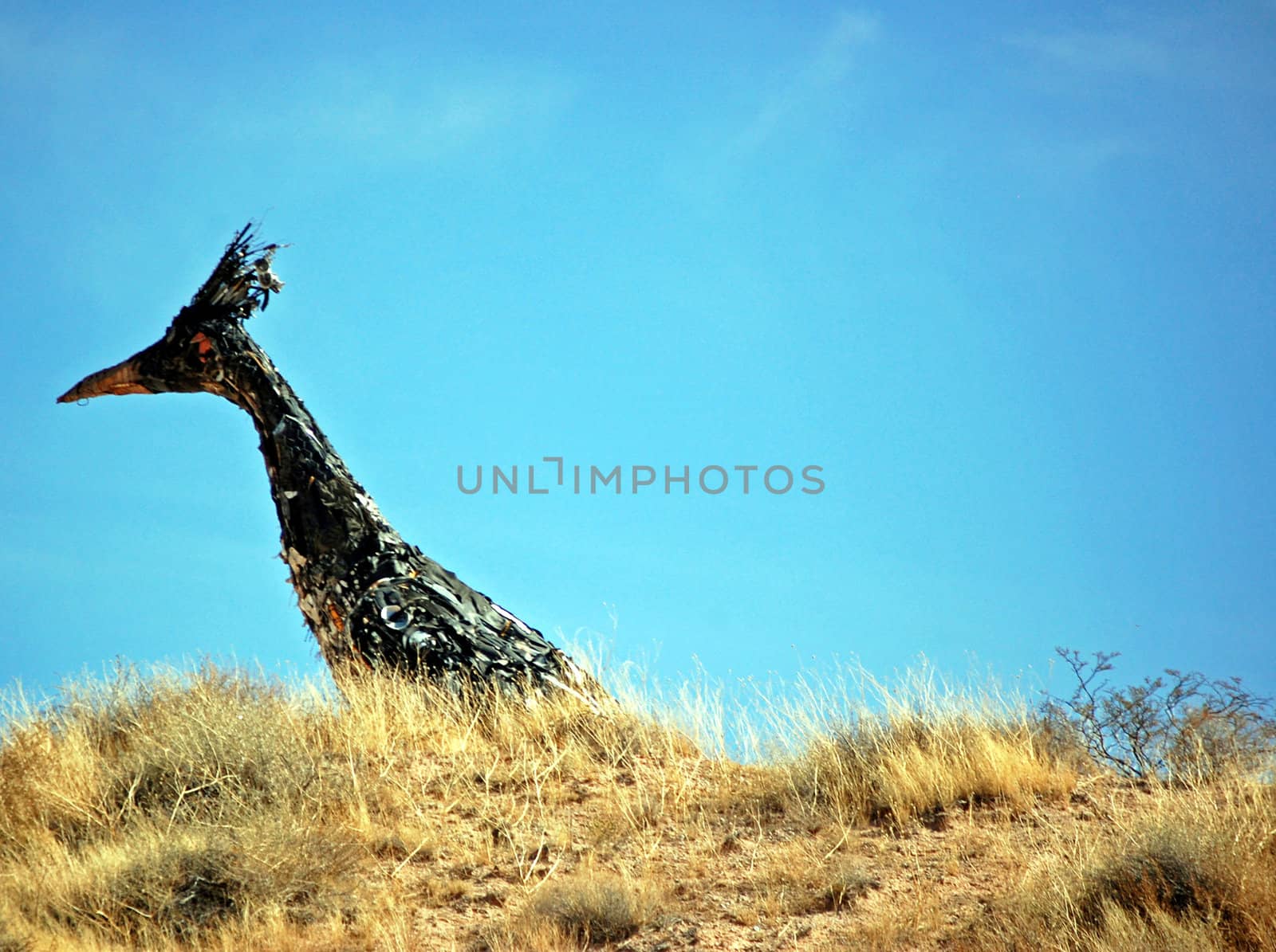 Bird on hill statue by RefocusPhoto