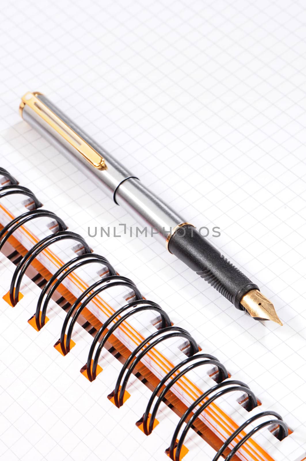 fountain pen on a open notebook