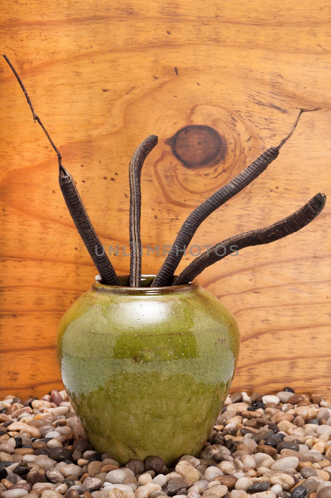 Still-life with green ceramic vase and seed pods