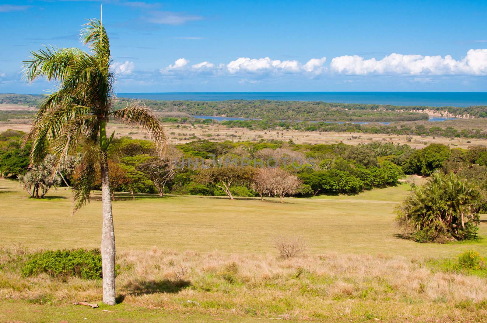 View of Indian Ocean, Mtunzini South Africa