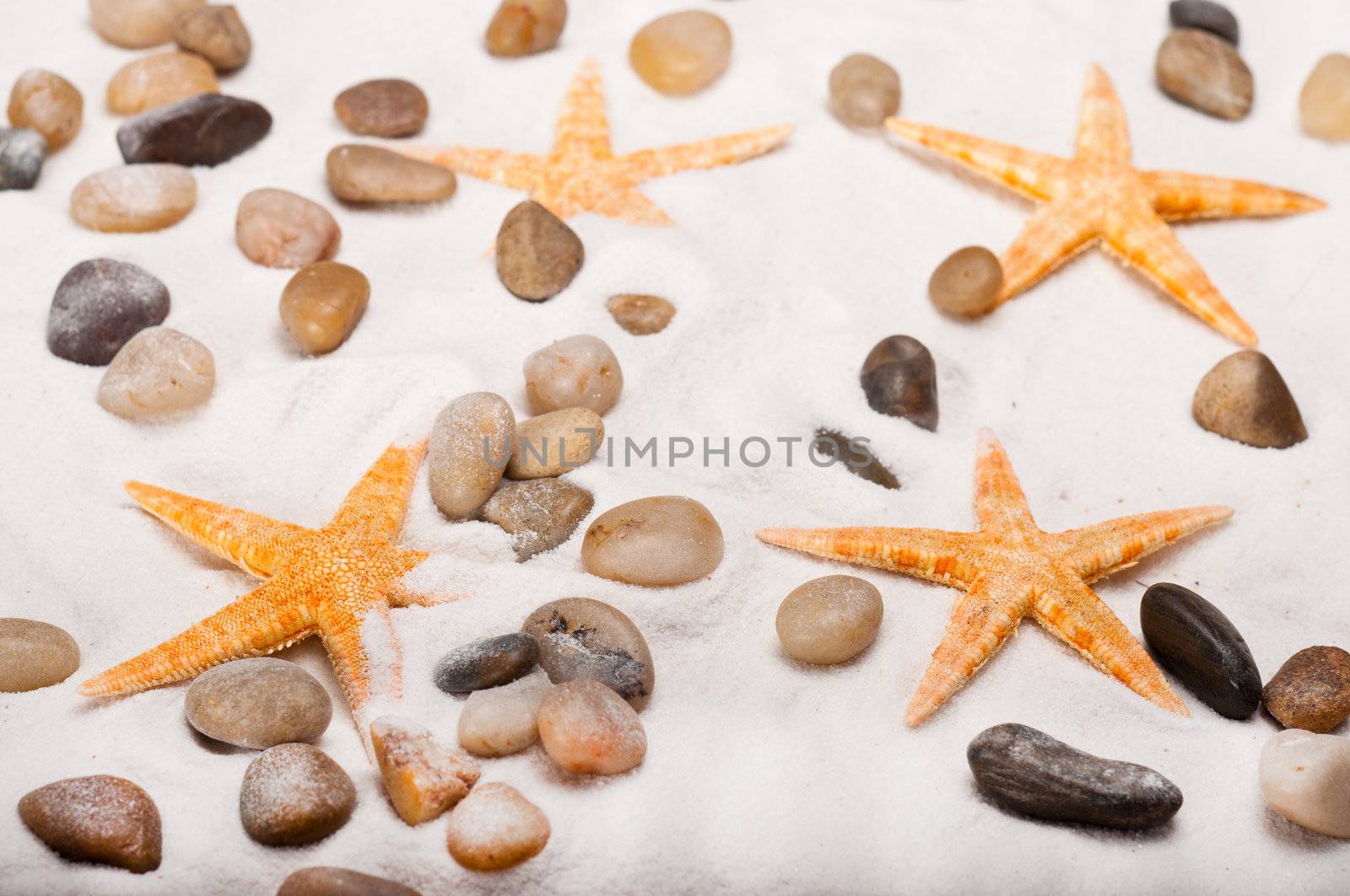 Orange starfish and pebbles on the beach