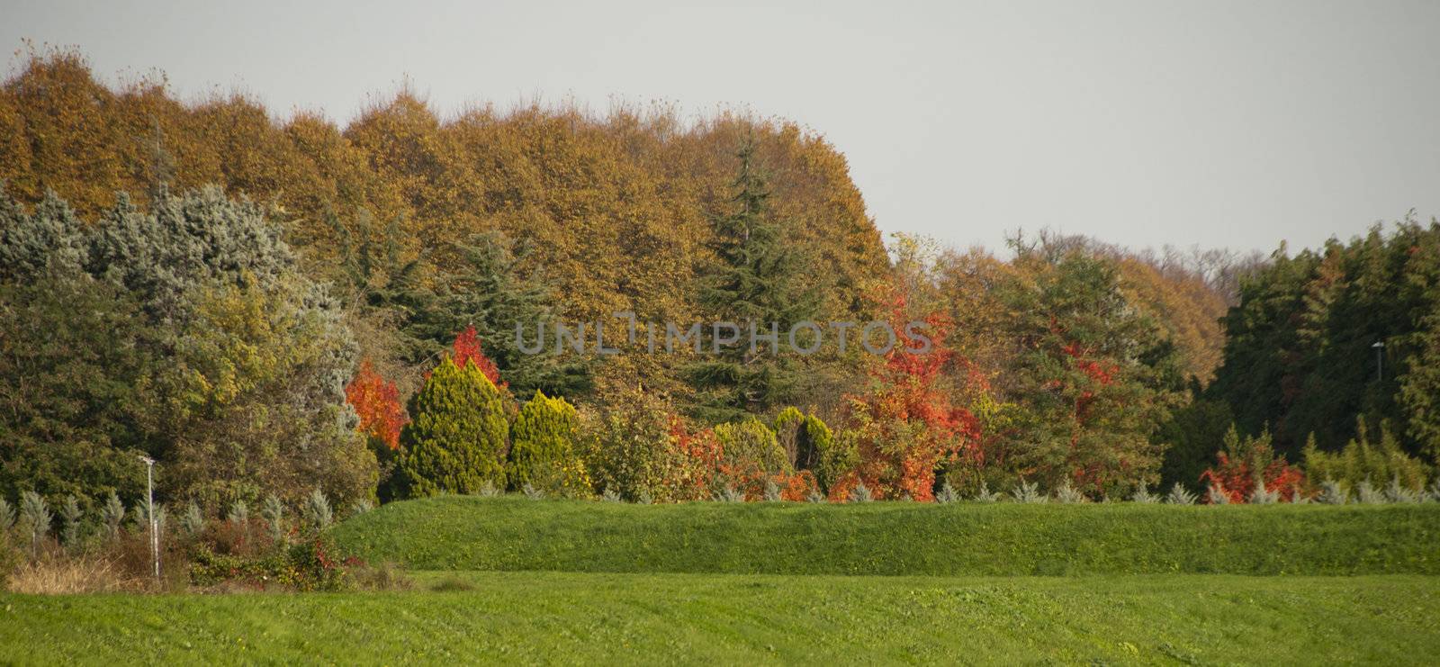 Colors of Fall in Lucca, Tuscany