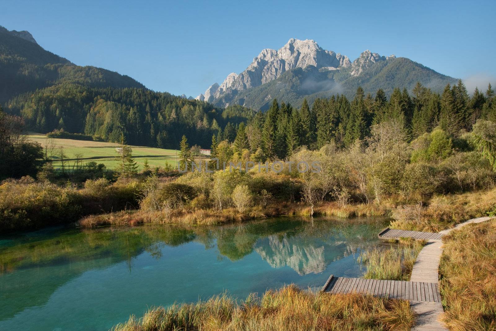 Spring of river Sava Dolinka in Triglav national park in Slovenia.