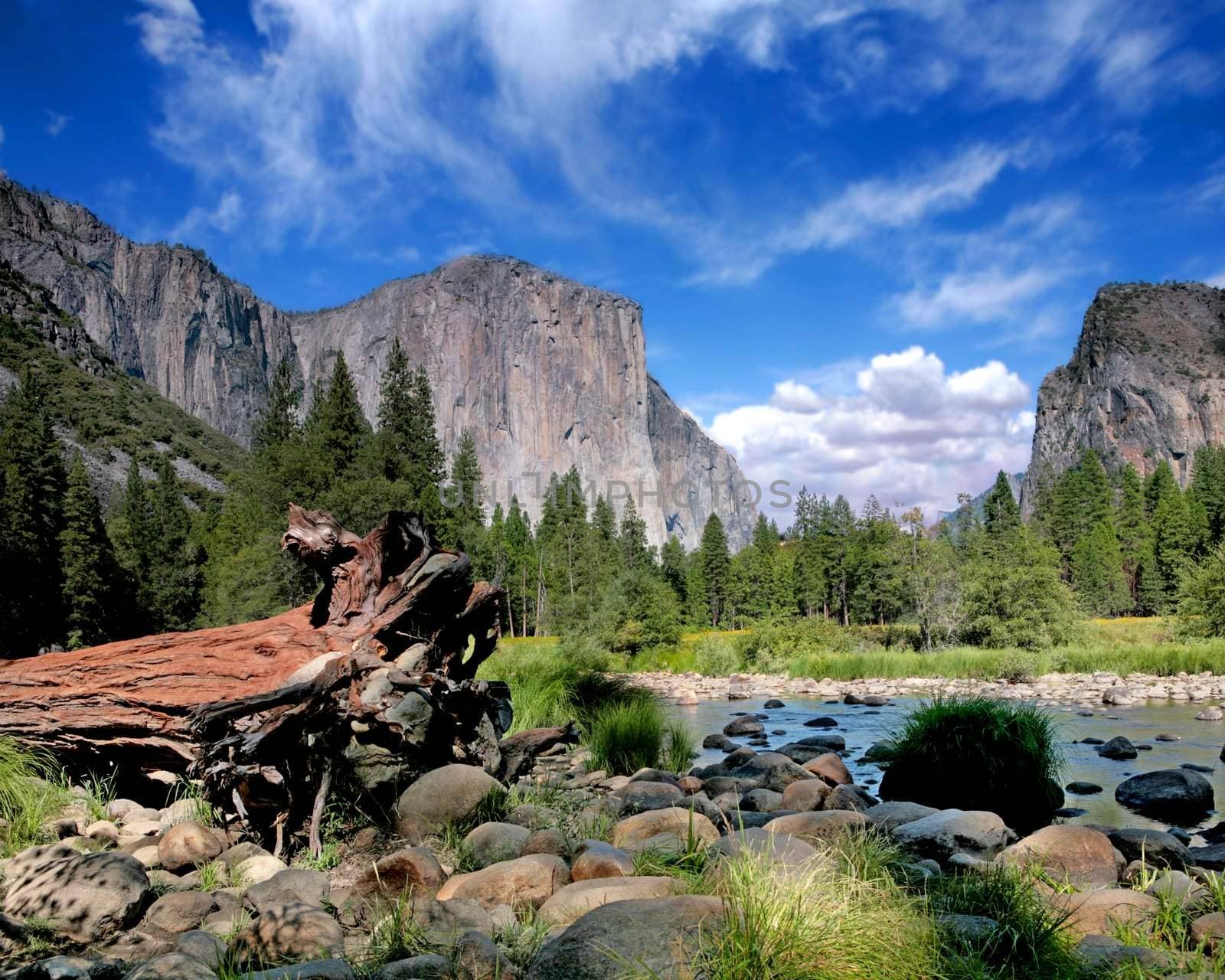 El Capitan View in Yosemite Nation Park by tobkatrina