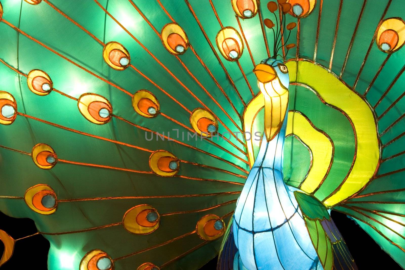 Peacock Lantern by shariffc