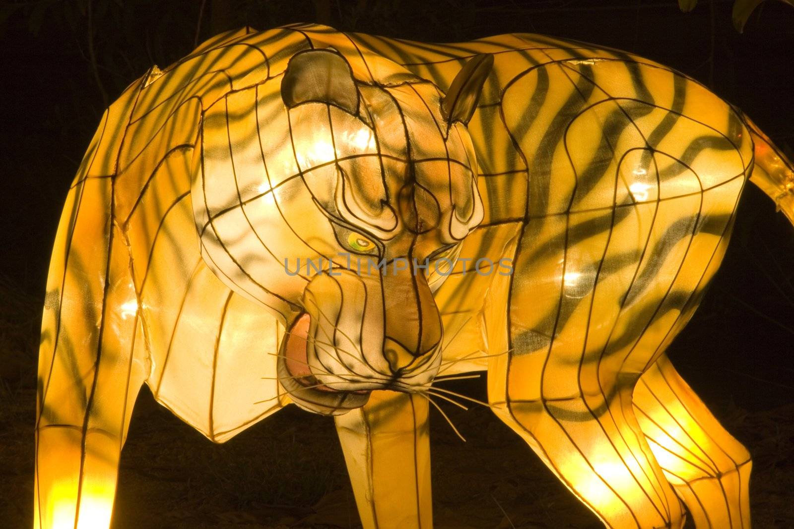 Tiger Lantern by shariffc