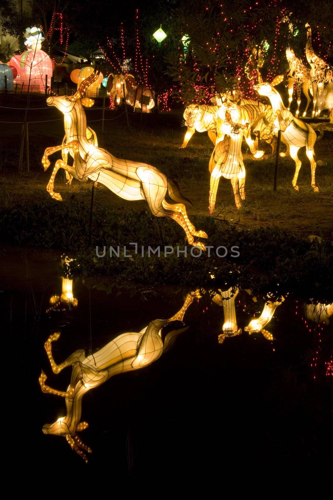 Safari Lanterns by shariffc