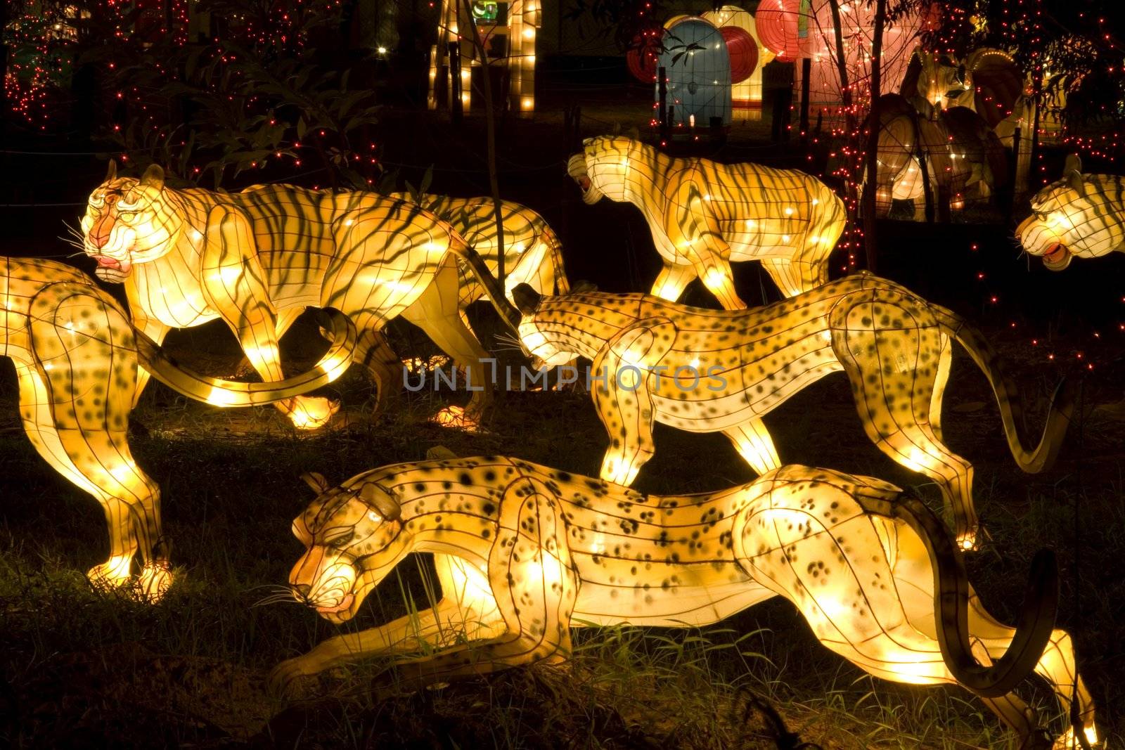Tiger and Leopard Lanterns by shariffc