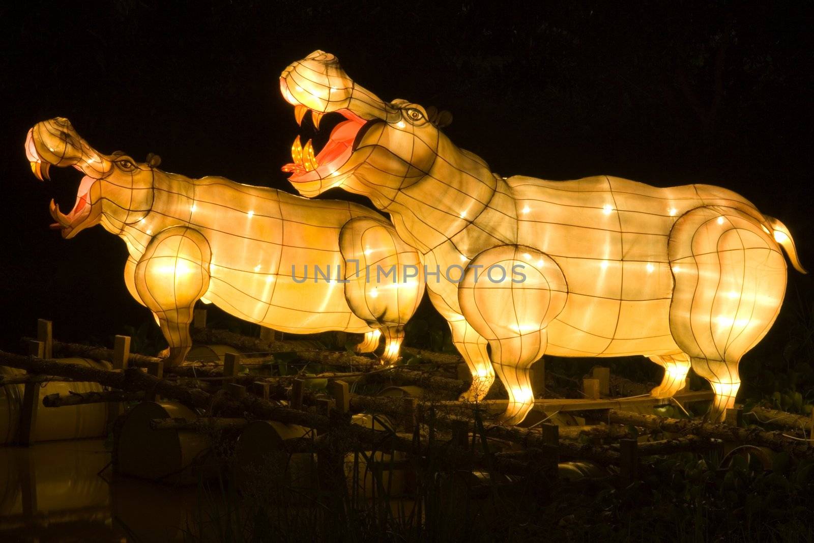 Hippopotamus Lantern by shariffc