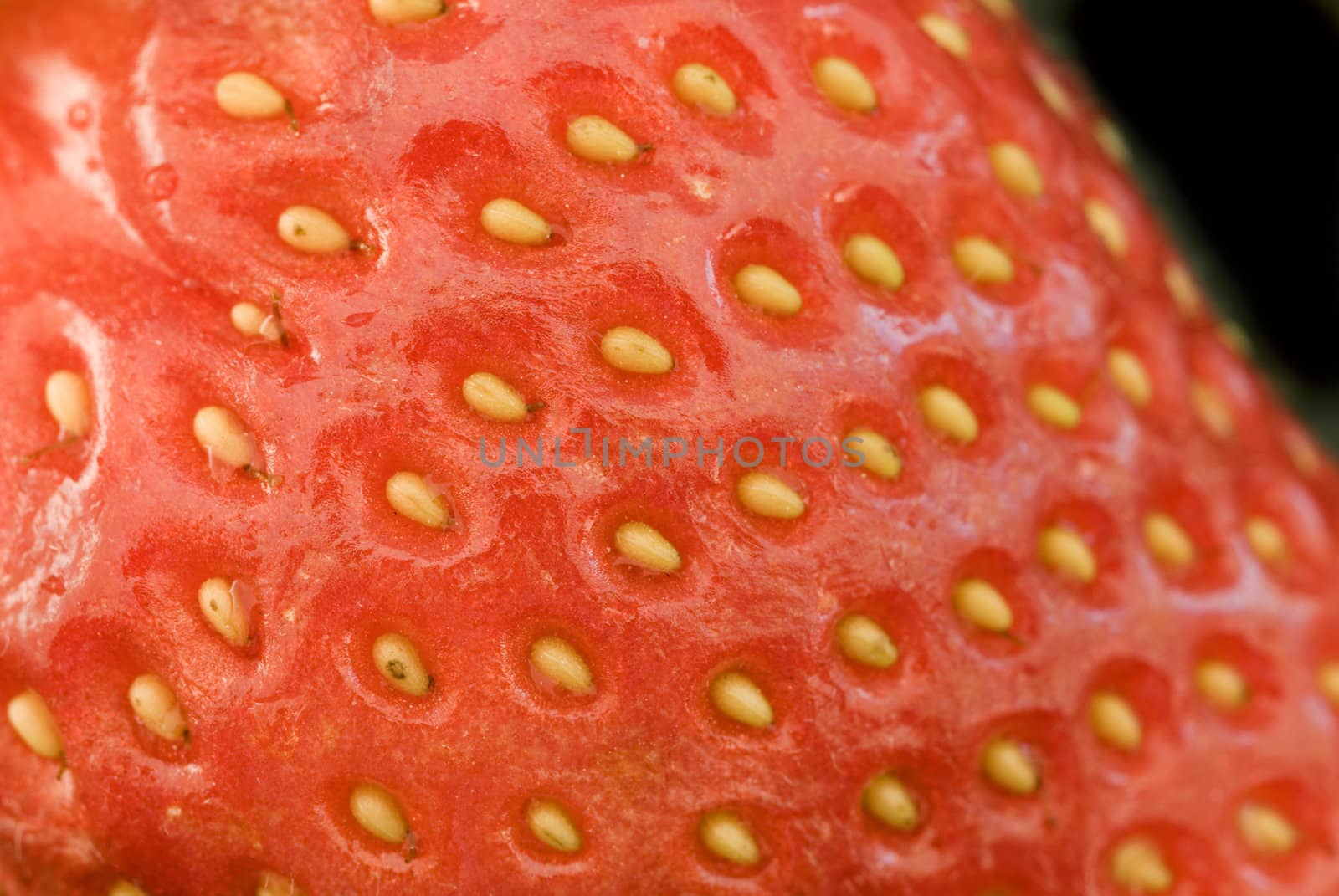 Macro image of a strawberry on a black background