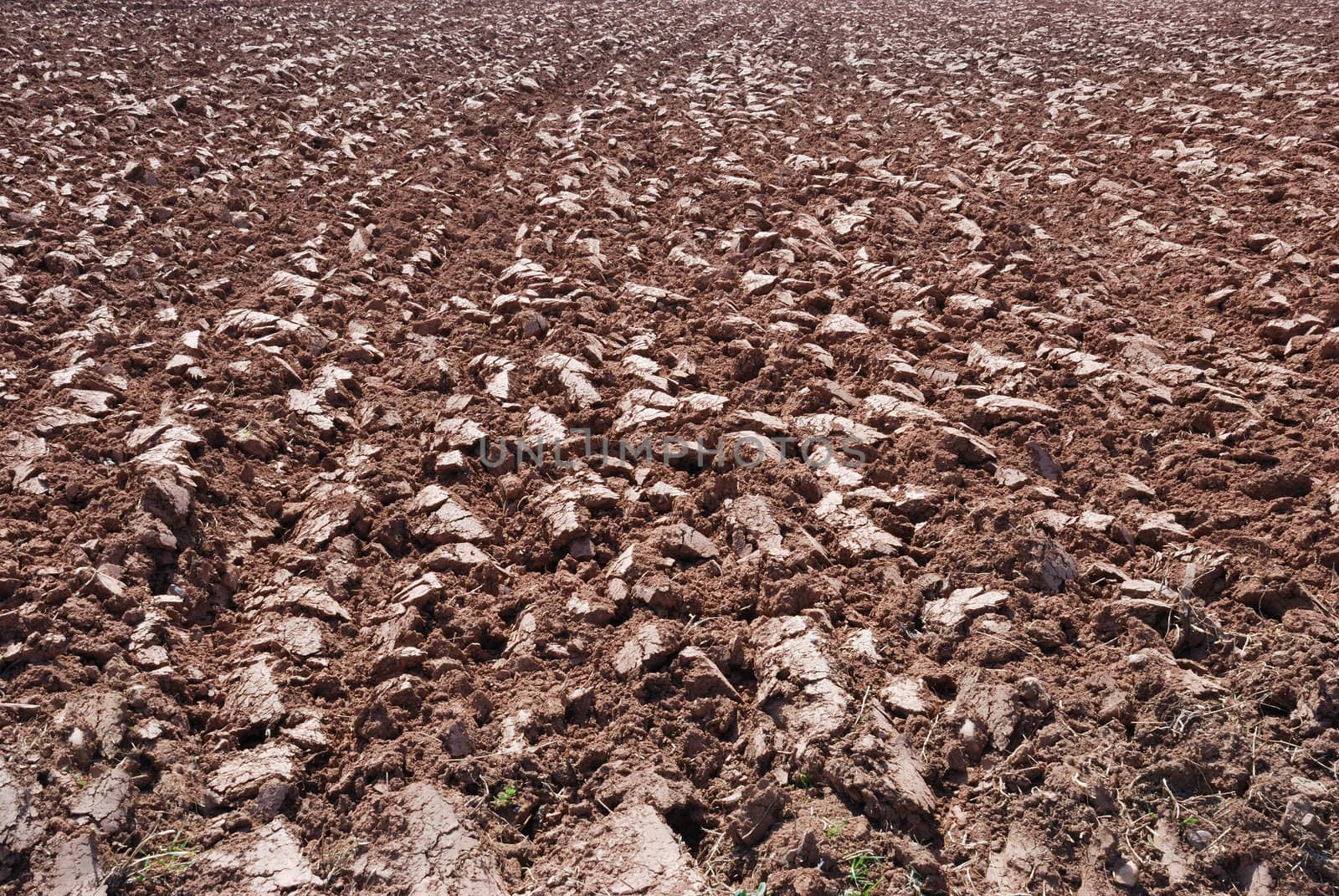 Background made of plowed ground on a sunny day.