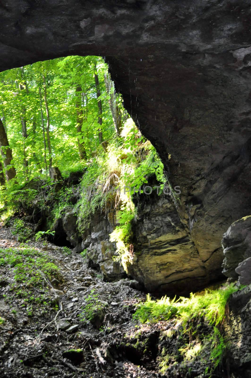 Coming out of Mammoth Cave by RefocusPhoto