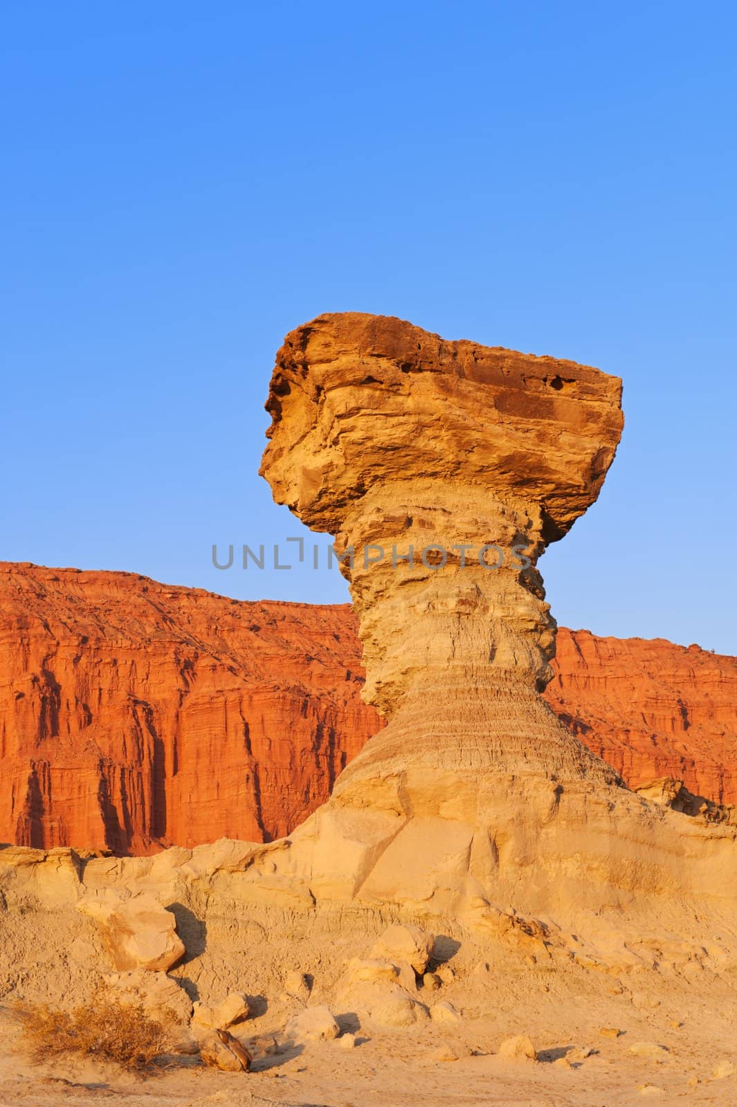 Sandstone formation in Ischigualasto, Argentina, the one called "the mushroom". UNESCO world heritage site.