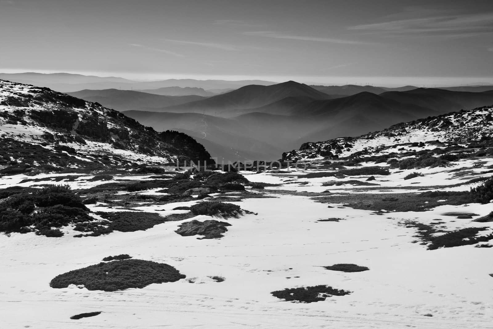 cold winter landscape with snow