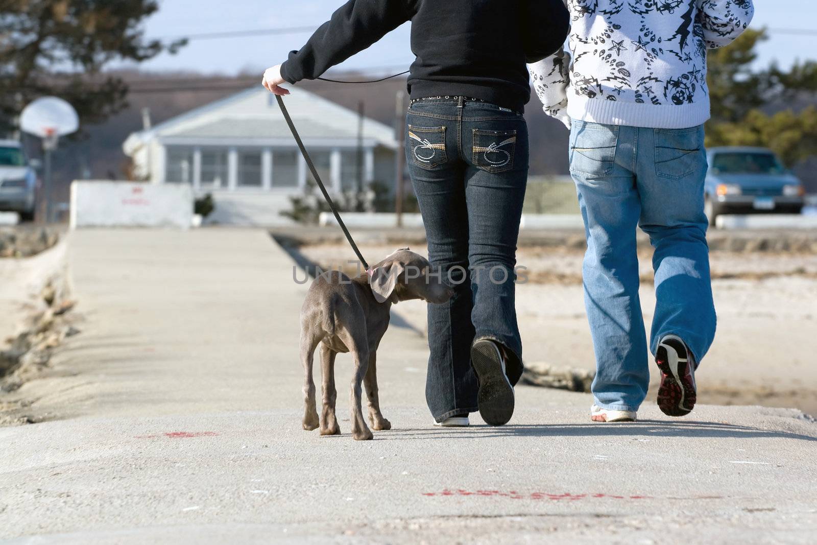 Walking The Puppy by graficallyminded