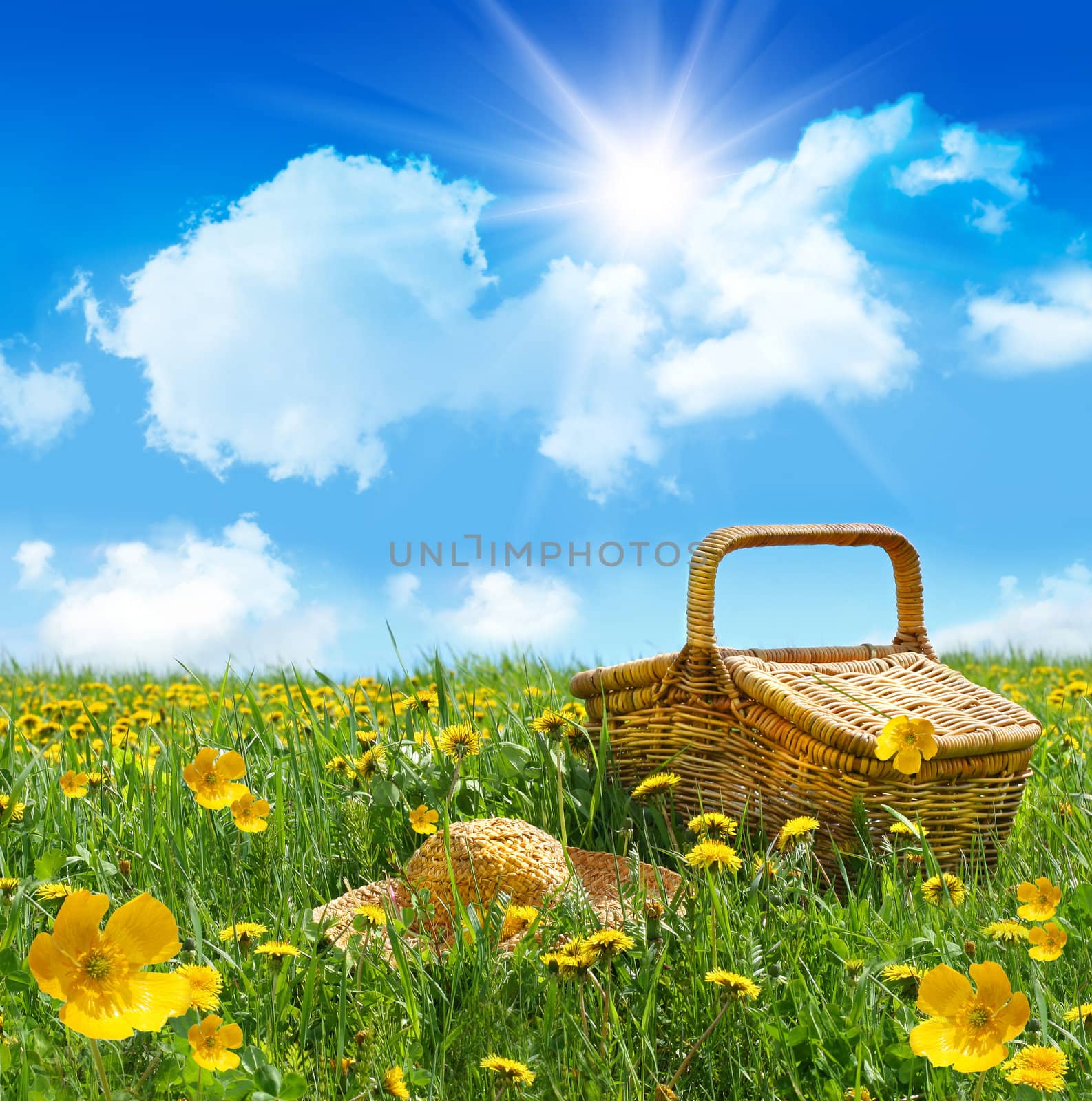 Summer picnic basket with straw hat in a field of dandelions