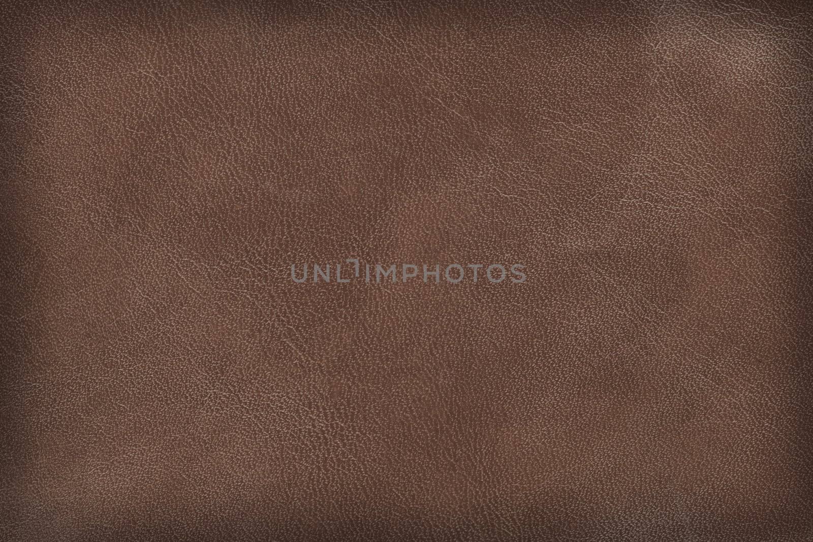 Brown leather texture. High-resolution scan.
