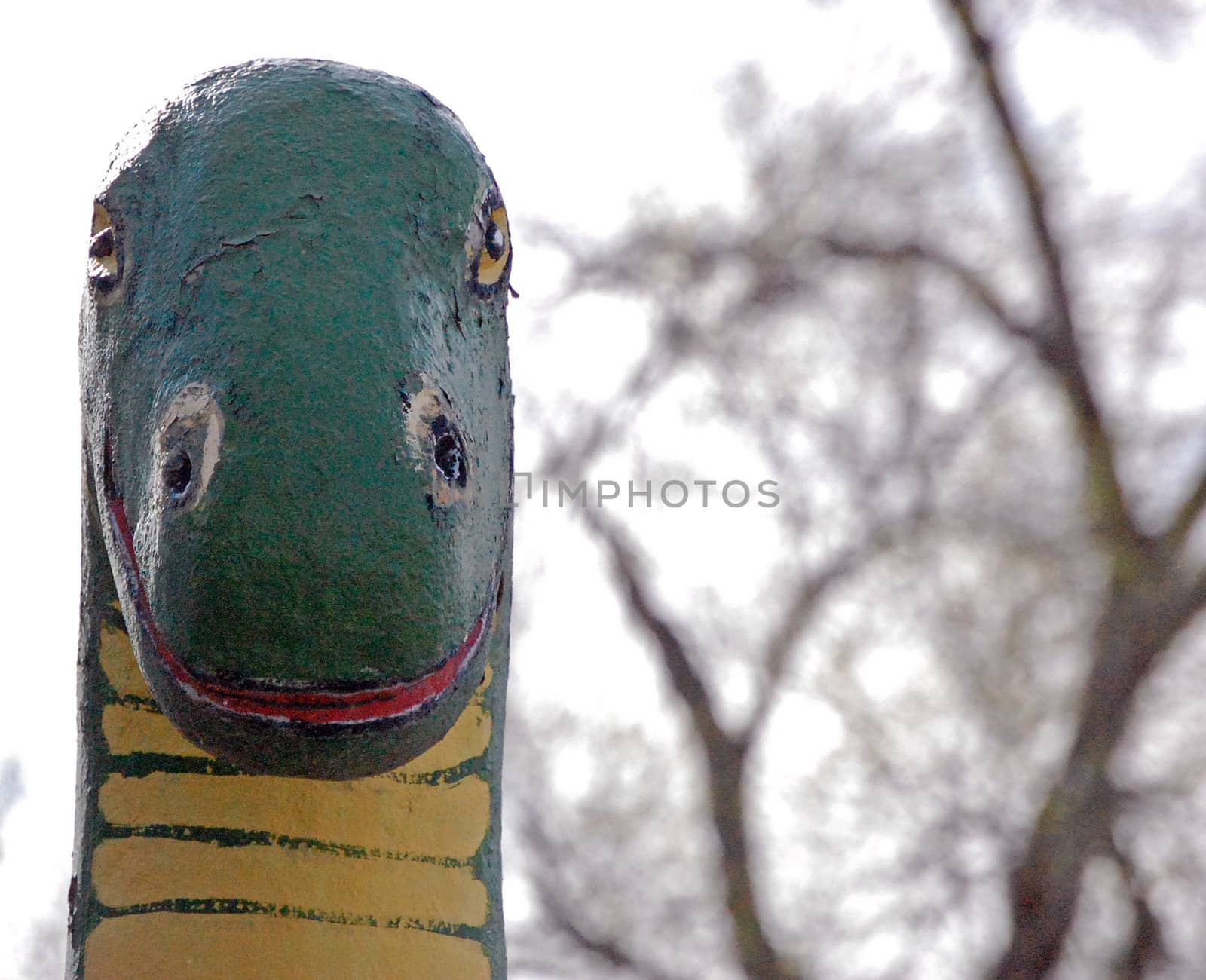 Dinosaur stares