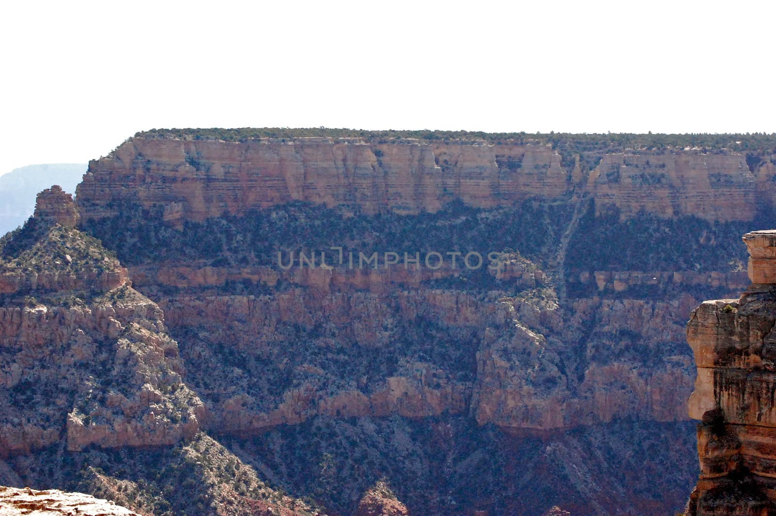 Grand Canyon by RefocusPhoto