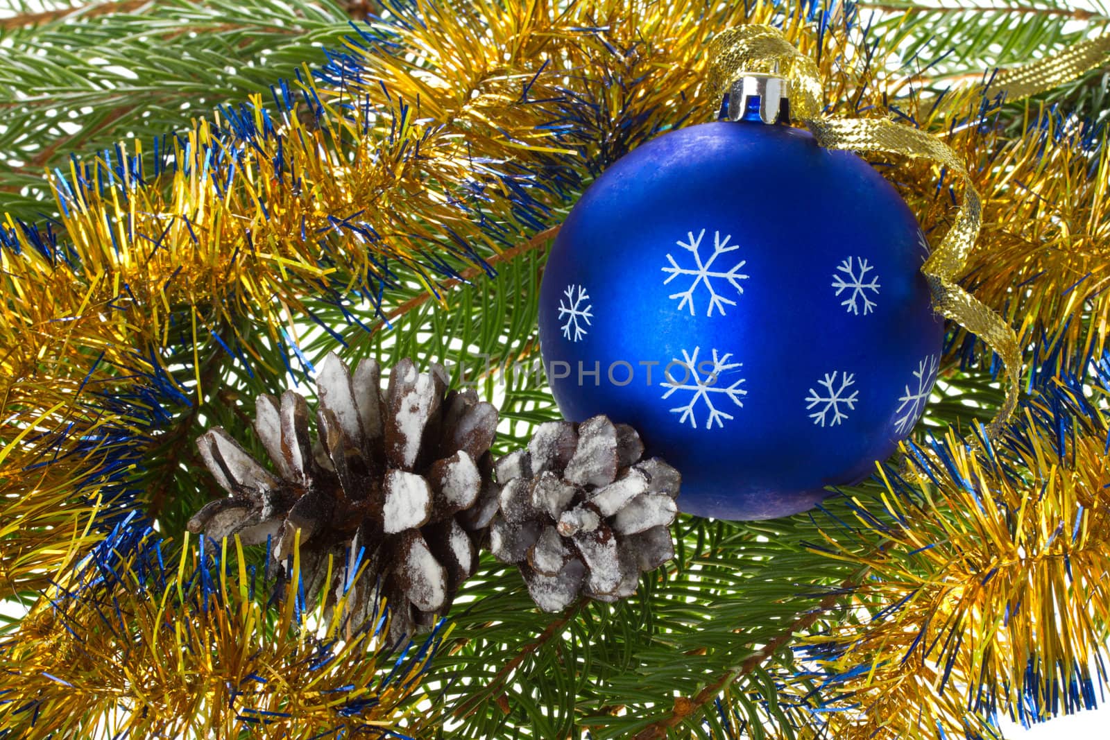 close-up blue ball and cones on fir tree branches