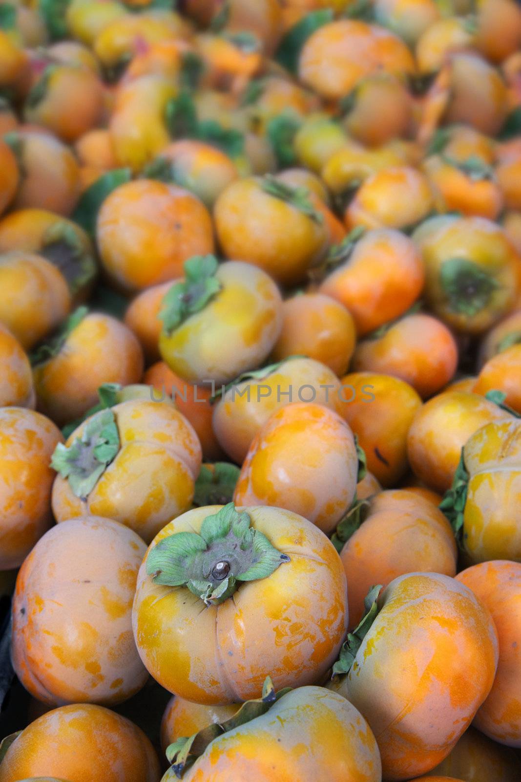 Pile of green leaf topped orange colored persimmons at the farmers market